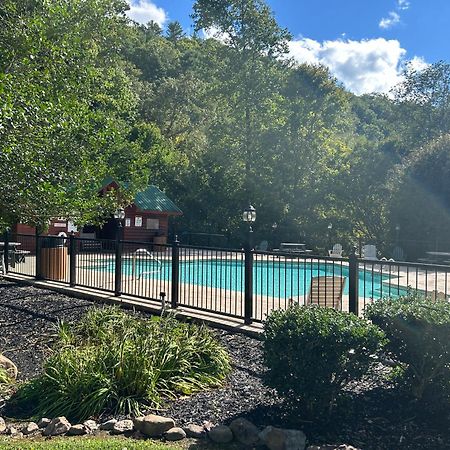 Elegant & Cozy Cabin Near Pigeon Forge 塞维尔维尔 外观 照片