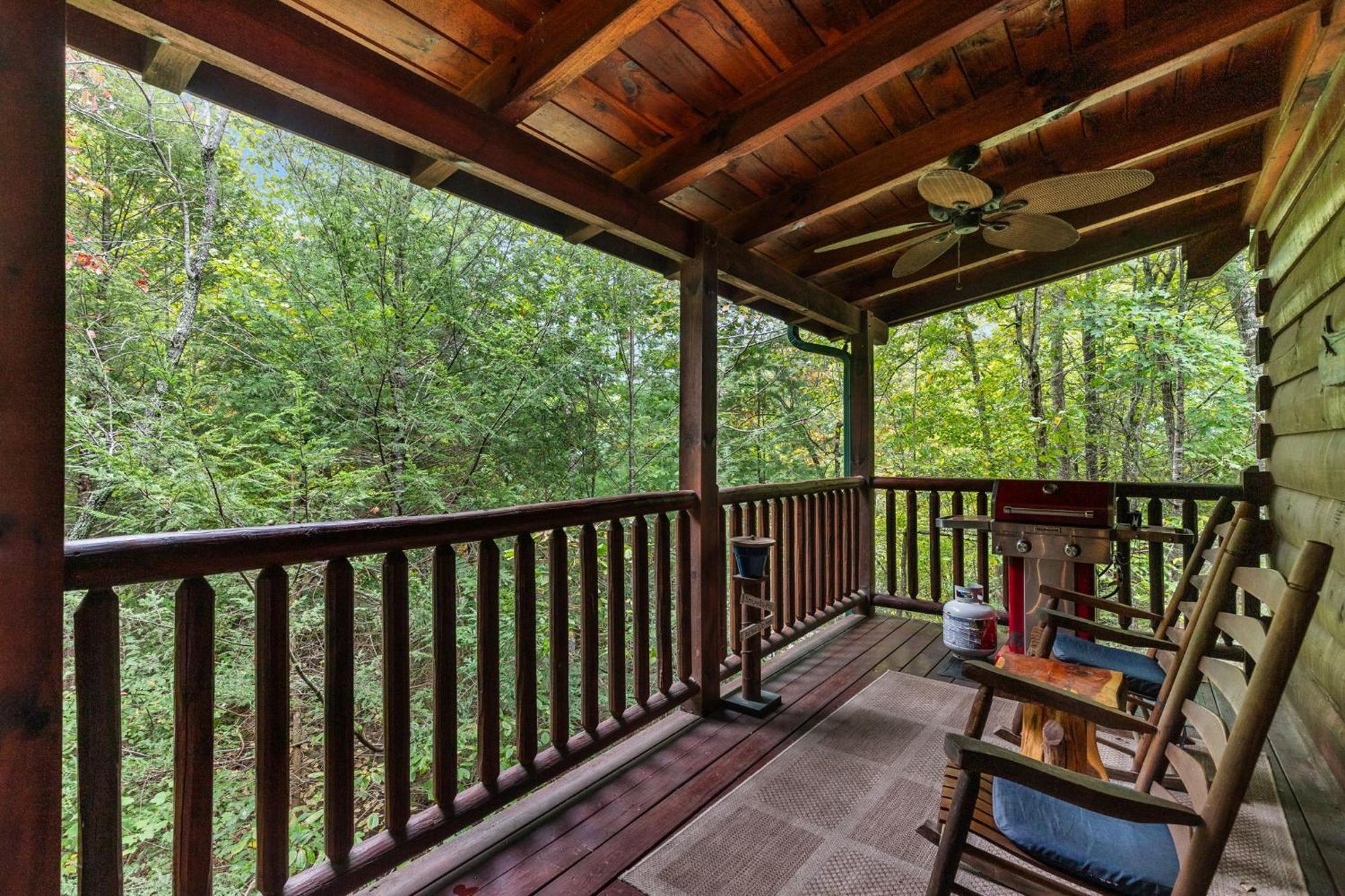 Elegant & Cozy Cabin Near Pigeon Forge 塞维尔维尔 外观 照片
